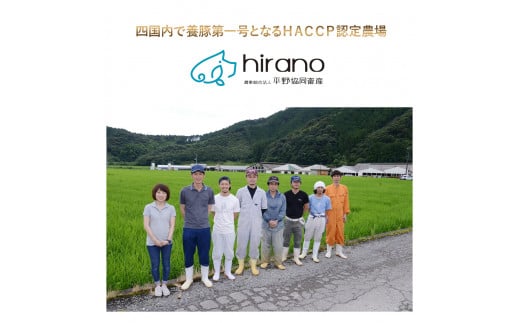 平野協同畜産のウインナー(計27本)＆フランクフルト(5本)セット （合計1,250g） ウィンナー 国産ソーセージ 国産ウインナー 国産ウィンナー 肉 お肉 四万十ポーク 冷凍 小分け／Ahc-02