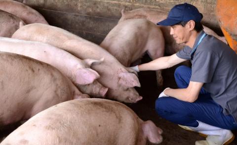 平野協同畜産の「麦豚」　焼肉3種食べ比べ　600g　ロース　肩ロース　バラ　200ｇ×3パック　3～4人前／Ahc-08