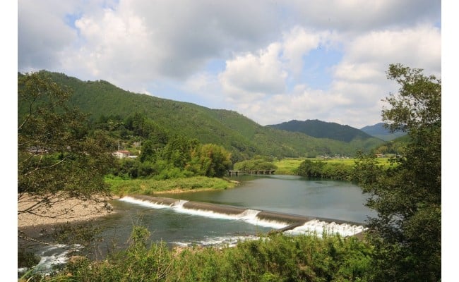 四万十麦酒（ビール）牛。牛肉のこま切れとお米セット ／Asz-B05