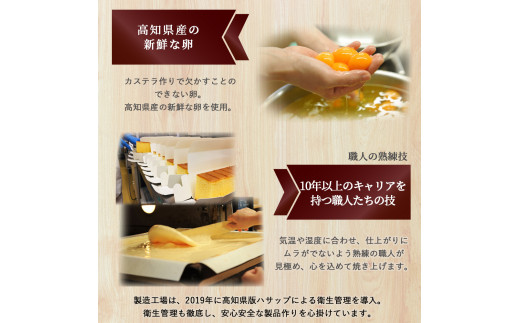 四万十の米粉カステラ【龍馬の太鼓判】プレーン＆四万十の緑茶半斤2本セット Bmu-A38