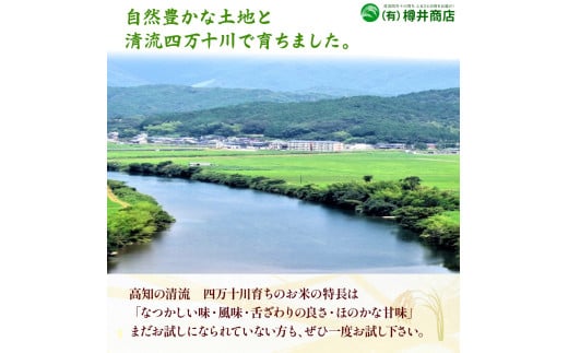 【令和7年産米】樽井商店の仁井田米「幻の香る米」6kg　／Bti-C03 　