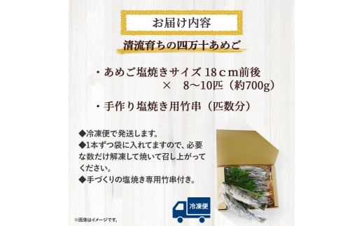 子どもが喜ぶバーベキュー！清流育ちの四万十あめご（約700g）【BBQ専用竹串付き】おつまみ バーベキュー BBQ アウトドア アメゴ あまご アマゴ 魚介 川魚 塩焼き 小分け  冷凍 8～10匹  個包装／Eay-01