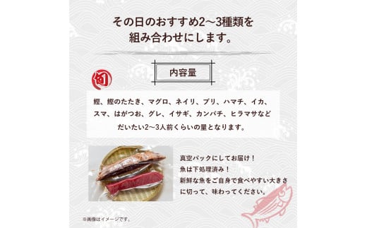 旬な海の幸をお届け！大将のおまかせ刺身2～3種類盛！ 刺し身 海鮮 鮮魚 海鮮丼 魚 刺身セット お魚 さしみ 魚介類　刺身盛り合わせ 冷蔵 2人前 カツオ 鰹 鰹のたたき マグロ ブリ カンパチ 即日発送／Efs-01
