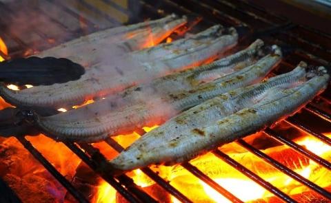 四万十地焼き鰻２尾 蒲焼＆白焼セット／Esg-20