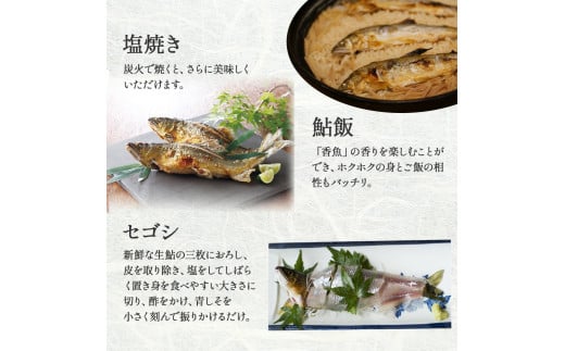 四万十川上流の天然鮎 釣り鮎600g【冷凍 4～12尾】／Esj-40k