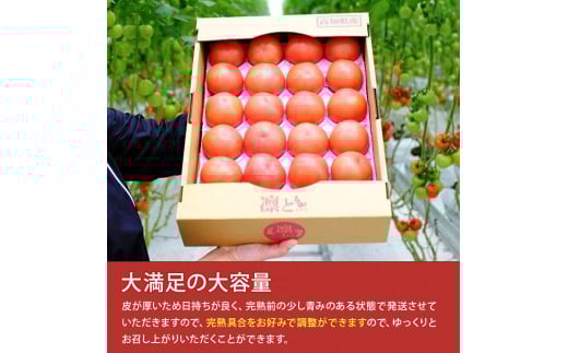受付4か月で800件超え四万十産トマト「凛と」／Fbg-A003