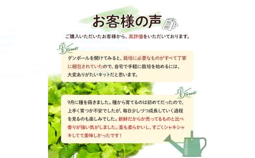 「パクチーを爆盛りたい！」ベランダ有機栽培キット「初心者でもできた！」／Fis-B01 