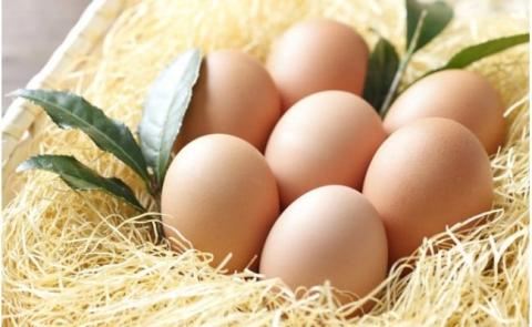 トースターで焼いて食べるたまご農場直営スイーツ！クッキーシュー（冷凍・4個入）【お届け日指定可能】／Gbn-A17