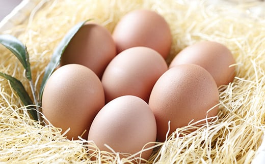 【訳アリ】たまご農場直営スイーツ！こだわり卵のロールケーキ ／Gbn-A44