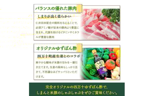柔らかい肉質と甘みが人気！しまんと米豚のしゃぶしゃぶセット 計800g（400g×2)　 豚肉 豚 豚しゃぶ お取り寄せ 人気 ギフト お歳暮 お年賀  豚バラ 豚ロース 薄切り 冷蔵／Qjs-01