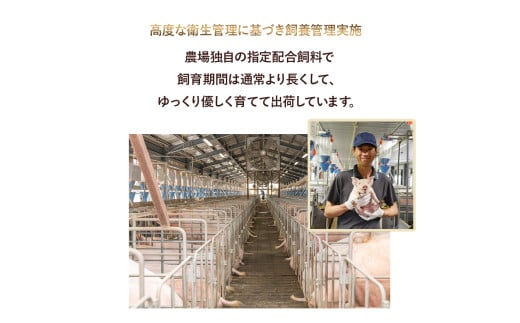 平野協同畜産の「麦豚」3種のとんかつ肉セット 約1.1kg（130g×6、350g×1） 豚肉 麦豚 四万十ポーク ブランド豚 トンカツ 豚カツ ロース 肩ロース ヒレ／Ahc-12