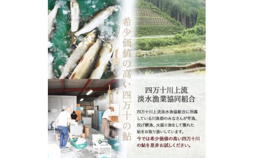 四万十川上流の天然鮎 釣り鮎600g【冷凍 4～12尾】／Esj-40k
