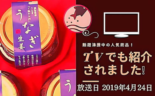 四万十うなぎ 生姜 3瓶（1瓶80g入り）  ご飯のお供 鰻 ショウガ しょうが 肴 常温 四万十鰻 国産／Ess-28