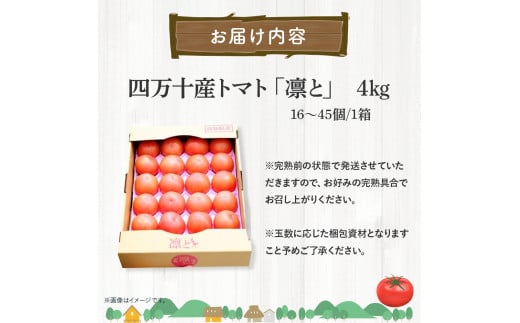 受付4か月で800件超え四万十産トマト「凛と」／Fbg-A003