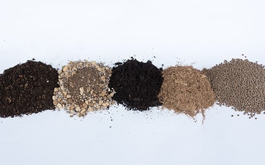 知育にも人気！本格農業体験しょうが栽培キット ／Fis-A02