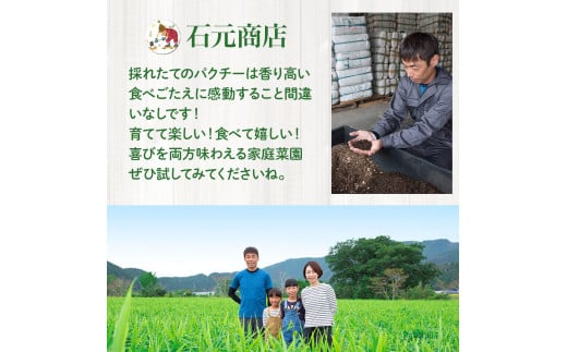 「パクチーを爆盛りたい！」ベランダ有機栽培キット「初心者でもできた！」／Fis-B01 