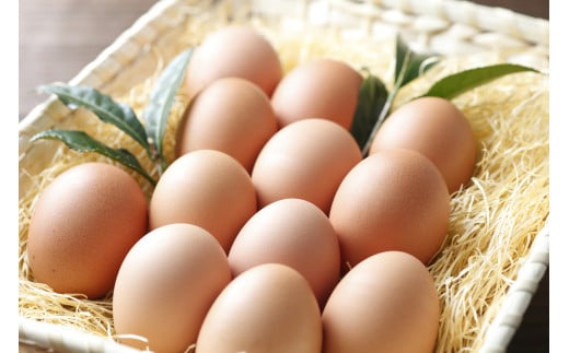 たまご農場直営スイーツ！こだわり卵のカステラ 2個セット(190ｇ×2個) ／Gbn-64