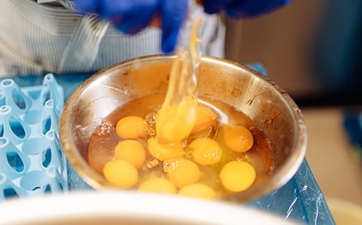 【訳アリ】たまご農場直営スイーツ！こだわり卵のロールケーキ ／Gbn-A44