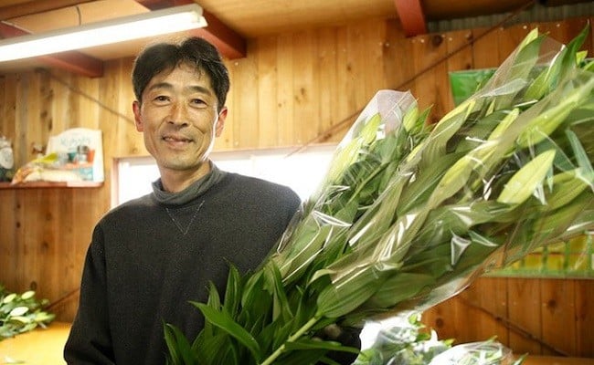 日頃の感謝を「花束」で、オリエンタルリリー【秀品7本】／Osy-03 