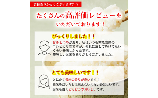 ◎令和７年産◎四万十の美味しい特選仁井田米（香り米50％入り）【5㎏×6回】／Sbmu-D18