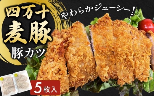 四万十麦豚 豚カツ （約100g×5枚）平野協同畜産 豚肉 麦豚 四万十麦豚 ブランド豚 トンカツ 豚カツ 冷凍カツ 豚ロース 背ロース／Ahc-17