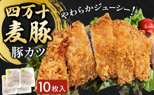 四万十麦豚 豚カツ （約100g×10枚）平野協同畜産 豚肉 麦豚 四万十麦豚 ブランド豚 トンカツ 豚カツ 冷凍カツ 豚ロース 背ロース／Ahc-18