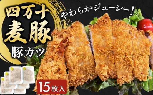 四万十麦豚 豚カツ （約100g×15枚）平野協同畜産 豚肉 麦豚 四万十麦豚 ブランド豚 トンカツ 豚カツ 冷凍カツ 豚ロース 背ロース Ahc-19