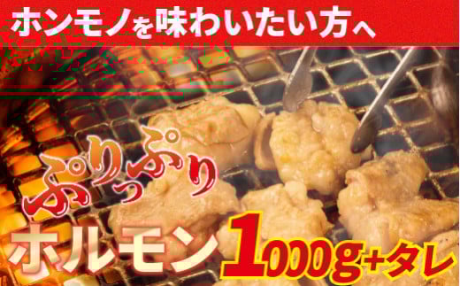 大人気焼肉屋さんのご家庭で簡単！モツ焼き肉セット1000g　ホルモン もつ 国産 焼肉 国産ホルモン 牛ホルモン もつ鍋／Amu-A03
