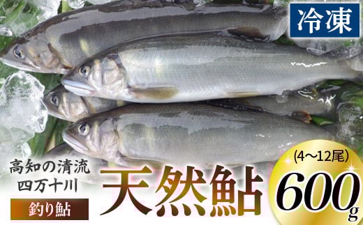 四万十川上流の天然鮎 釣り鮎600g【冷凍 4～12尾】／Esj-40k