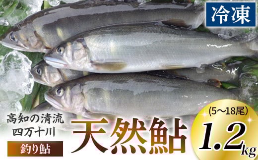 四万十川上流の天然鮎　釣り鮎【冷凍5～18尾】【着日指定不可】／Esj-42k