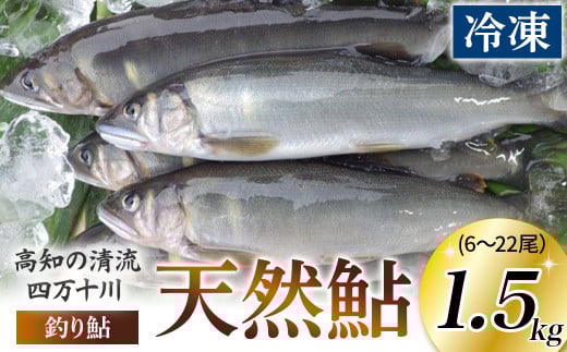 四万十川上流の天然鮎 釣り鮎1.5kg【冷凍 6～22尾】【着日指定不可】／Esj-43k
