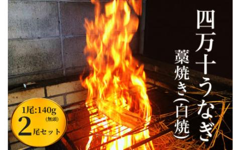 うなぎ藁焼き 白焼き【140g x ２本】／Esu-106