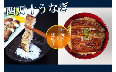 うなぎ藁焼き 白焼き・蒲焼きセット【140g x ２本】／Esu-107