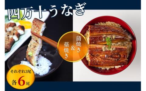 うなぎ藁焼き 白焼き・蒲焼き 各3尾セット【140g x 6本】／Esu-109