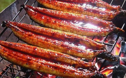 うなぎ蒲焼き【6本セット】／Esu-125