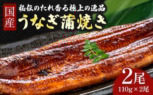 うなぎ 蒲焼き セット 220g (110g×2本) ／Esu-A92