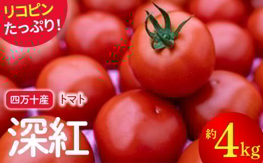 赤さがリコピン満載の証！四万十産トマト「深紅」4kg（1箱24～55玉）／Fbg-006