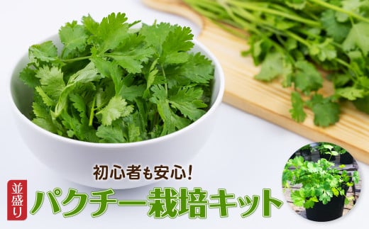 初心者も安心「並盛り」パクチー栽培キット／Fis-B05 
