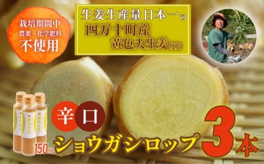 栽培期間中農薬・化学肥料不使用の黄色大生姜を使った辛口ショウガシロップ3本／Fmf-06