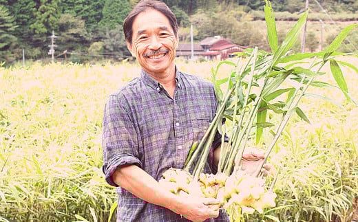 ゆうきのもり生産者こだわりの有機黄金生姜　／Ftf-A01