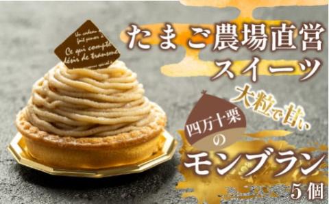 たまご農場直営スイーツ!四万十栗のモンブラン　5個入り／Gbn-51