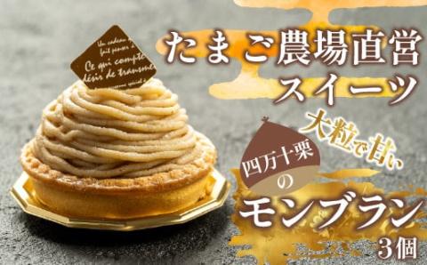 たまご農場直営スイーツ!四万十栗のモンブラン　3個入り／Gbn-52