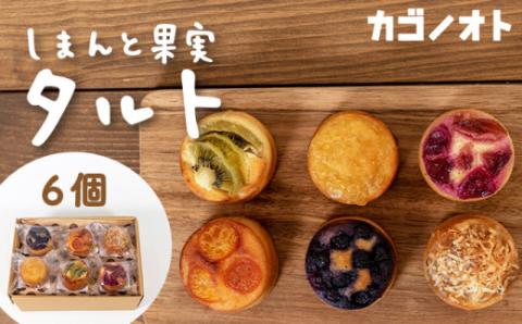 【しまんと果実／エコ包装】タルト（6個入：キウイ・すもも・文旦・ブルーベリー、金柑、ジンジャーラムナッツ）カゴノオト／Ikg-Z98