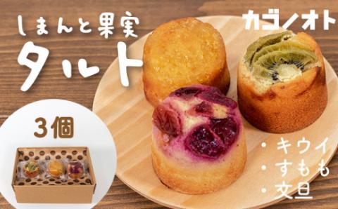  【しまんと果実／エコ包装】タルト（3個入：キウイ・すもも・文旦）カゴノオト／Ikg-Z97