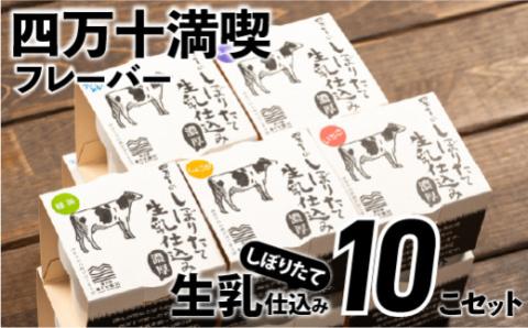 搾りたて生乳仕込みの濃厚ミルクアイス四万十満喫フレーバー5種10個セット／Qak-35