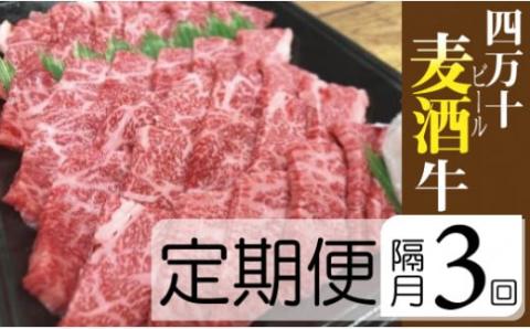 【定期便3回／隔月】四万十麦酒（ビール）牛。牛肉を焼肉用に厚切り。／Sasz-01