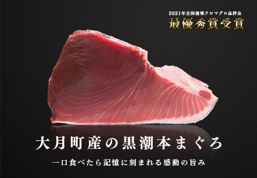 【定期便 12回】高知県産 本マグロ 中トロ 養殖 2柵 300g (不定貫)