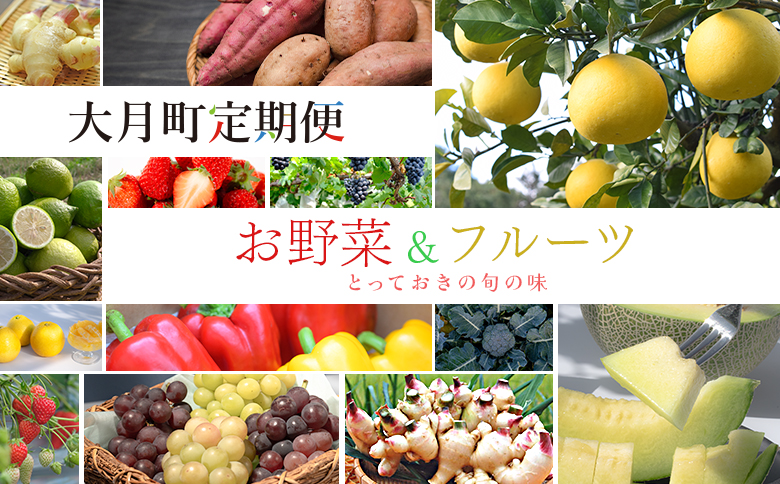 【定期便 10回】旬のお野菜 フルーツ セット｜新鮮 産地直送 果物 健康志向 ギフト 贈り物 人気 おすすめ いちご 紅ほっぺ 土佐文旦 朝どれブロッコリー 柑橘 パプリカ メロン ぶどう 新生姜 レモン 芋 詰め合わせ お取り寄せ 大月町