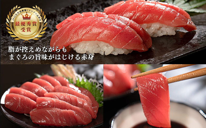 【定期便6回】日本一!黒潮本まぐろ 赤身