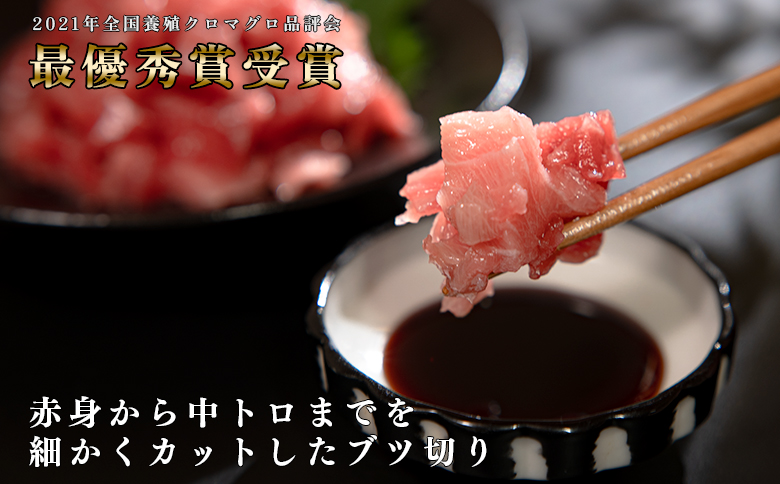 【定期便6回】日本一!黒潮本まぐろ ブツ切り